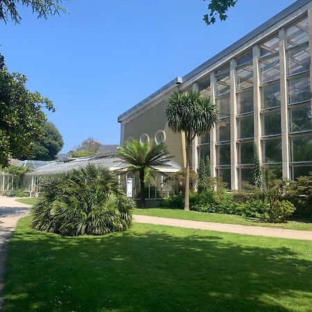 Coeur Du Centre-Ville Cherbourg-en-Cotentin Exteriör bild